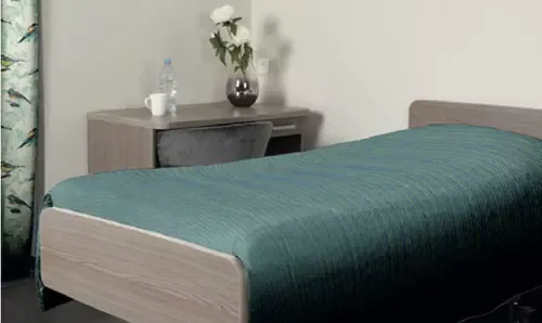 Chambre d'hébergement avec lit et jeté vert